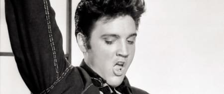 Elvis The Concert