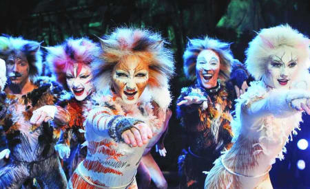 Cats