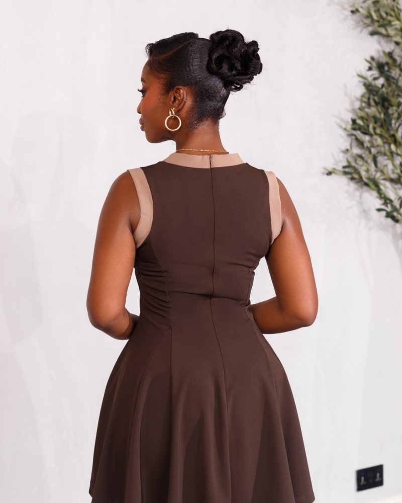 Coffee brown & nude combo dress