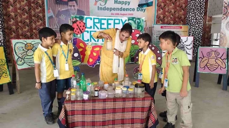 Creepy Crawly — a KG activity at Sunbeam School Ballia — photograph 6 of 12