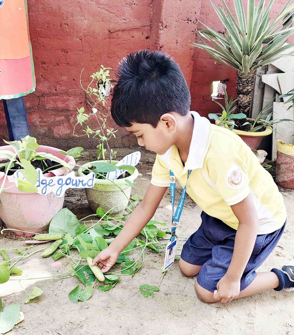 Seasonal fruits and vegetables — a KG activity at Sunbeam School Ballia — photograph 3 of 7