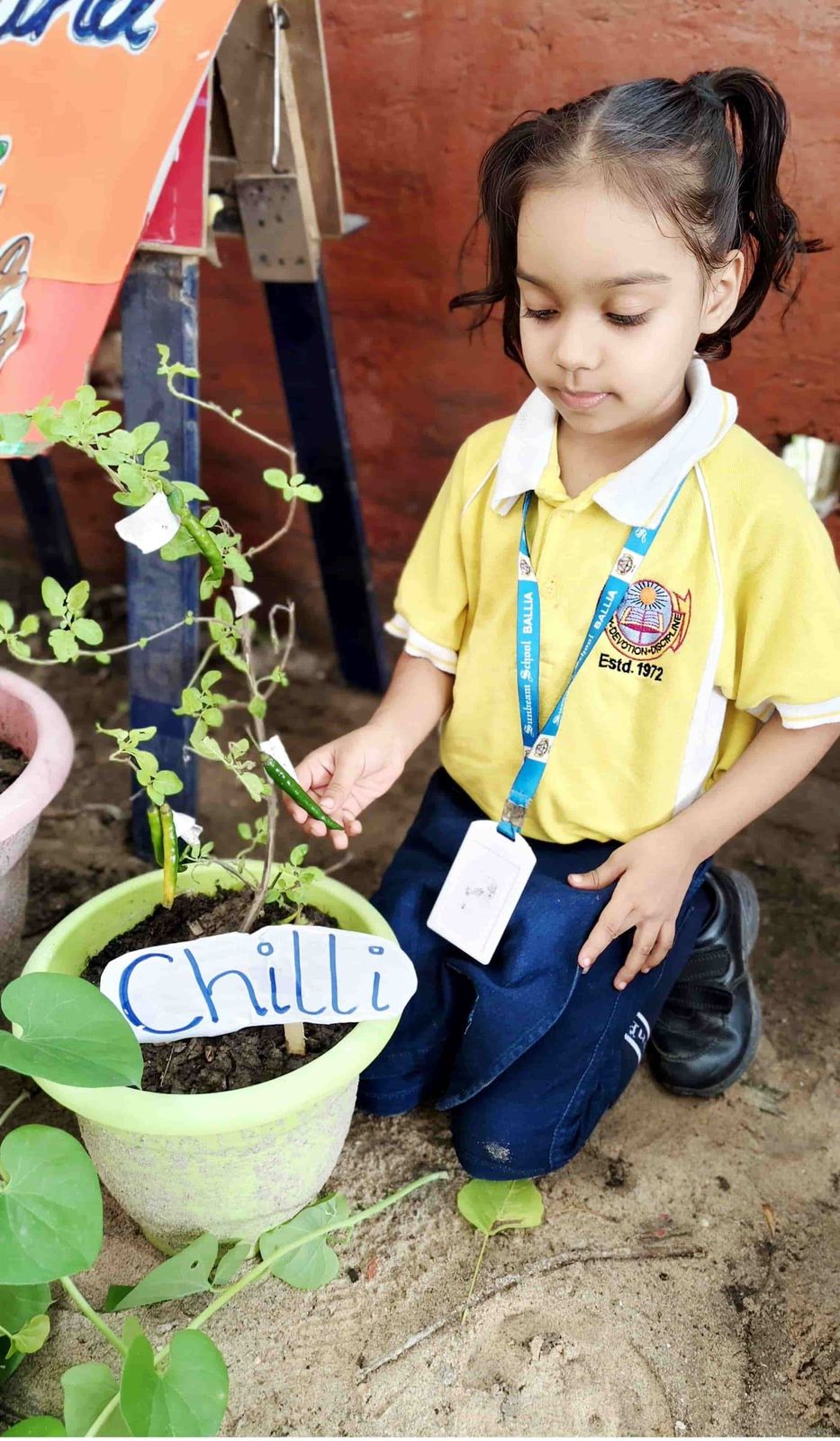 Seasonal fruits and vegetables — a KG activity at Sunbeam School Ballia — photograph 1 of 7