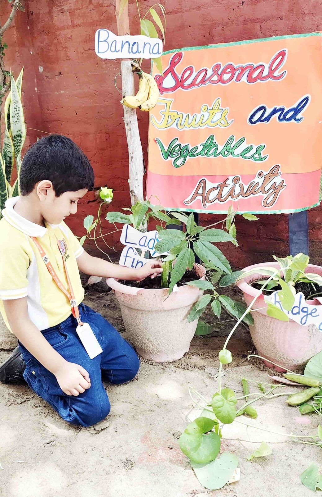 Seasonal fruits and vegetables — a KG activity at Sunbeam School Ballia — photograph 5 of 7