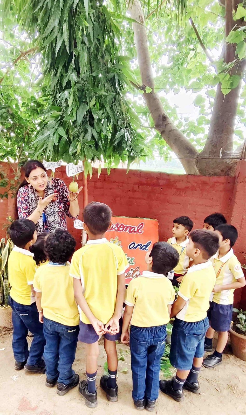 Seasonal fruits and vegetables — a KG activity at Sunbeam School Ballia — photograph 7 of 7