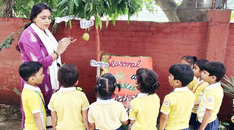 Seasonal fruits and vegetables — a KG activity at Sunbeam School Ballia — photograph 6 of 7