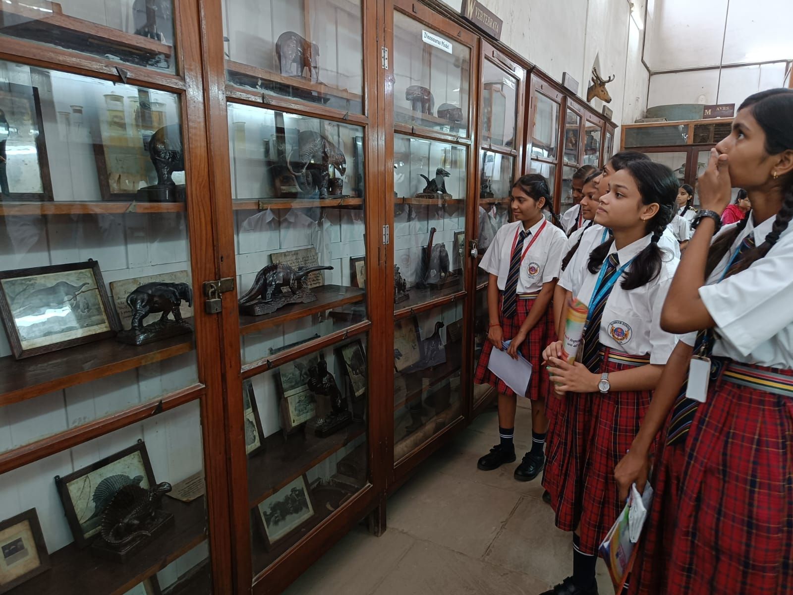Allahabad BOI Museum visit at Sunbeam School Ballia