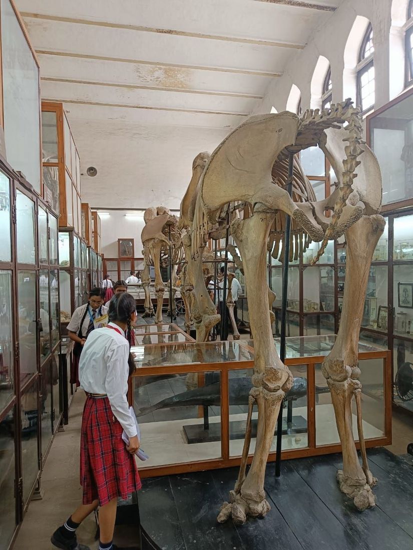 Allahabad BOI Museum visit at Sunbeam School Ballia — photograph 2 of 19