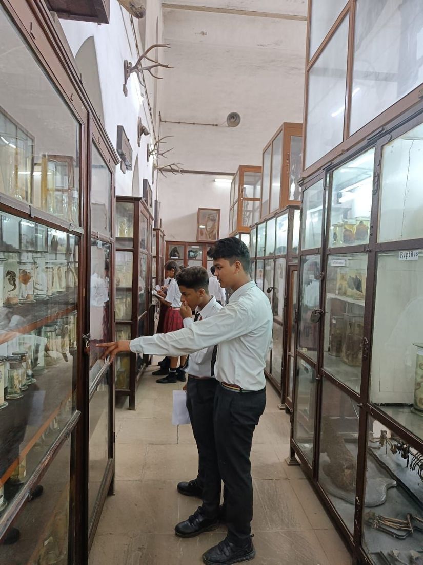 Allahabad BOI Museum visit at Sunbeam School Ballia — photograph 4 of 19