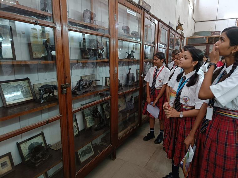 Allahabad BOI Museum visit at Sunbeam School Ballia — photograph 1 of 19