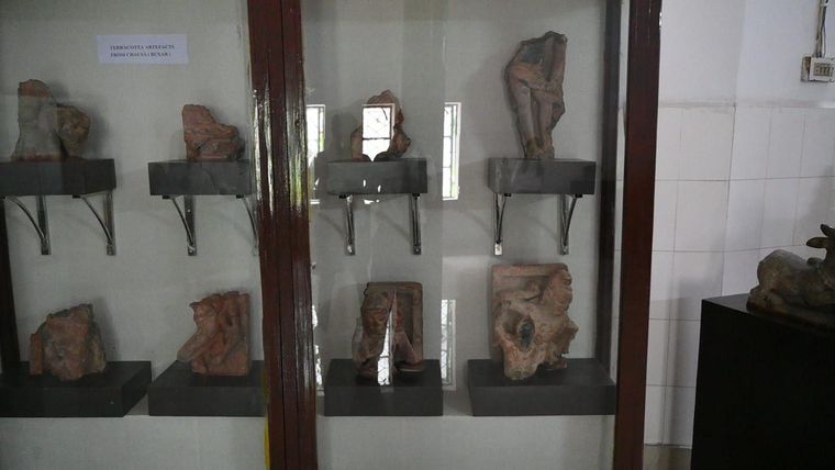 Allahabad BOI Museum visit at Sunbeam School Ballia — photograph 14 of 19
