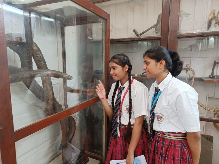 Allahabad BOI Museum visit at Sunbeam School Ballia — photograph 6 of 19