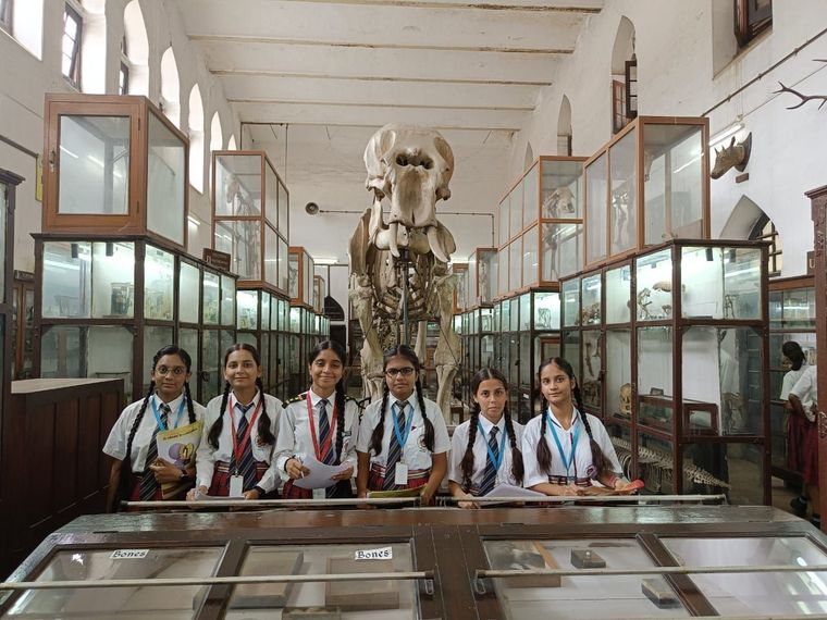 Allahabad BOI Museum visit at Sunbeam School Ballia — photograph 9 of 19