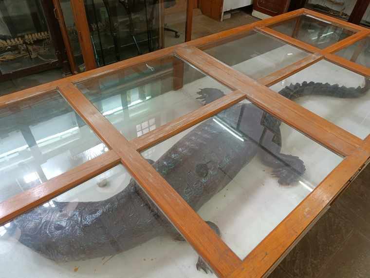Allahabad BOI Museum visit at Sunbeam School Ballia — photograph 12 of 19