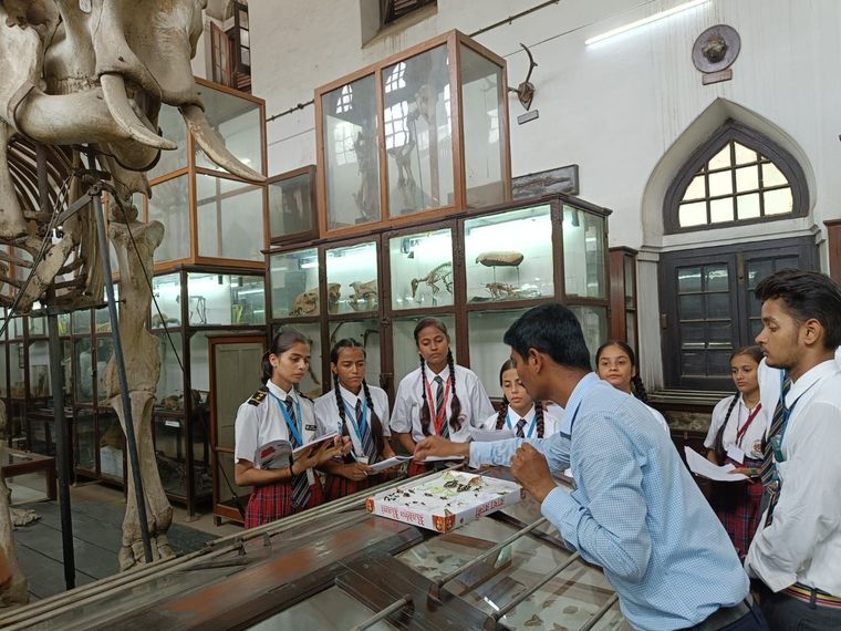 Allahabad BOI Museum visit at Sunbeam School Ballia — photograph 15 of 19