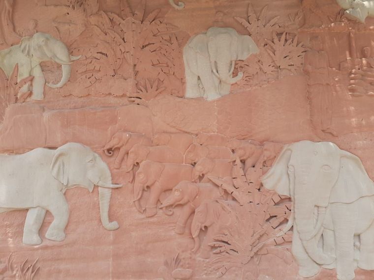 Excited to share that our enthusiastic 6th and 8th graders from Sunbeam School Ballia had an… at Sunbeam School Ballia — photograph 11 of 13