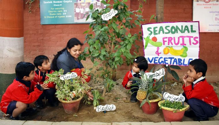 Our little learners from KG Section had a colorful and fun-filled day exploring the world of… at Sunbeam School Ballia — photograph 10 of 11
