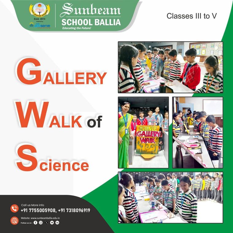 Gallery Walk – Class IV at Sunbeam School Ballia — photograph 2 of 9