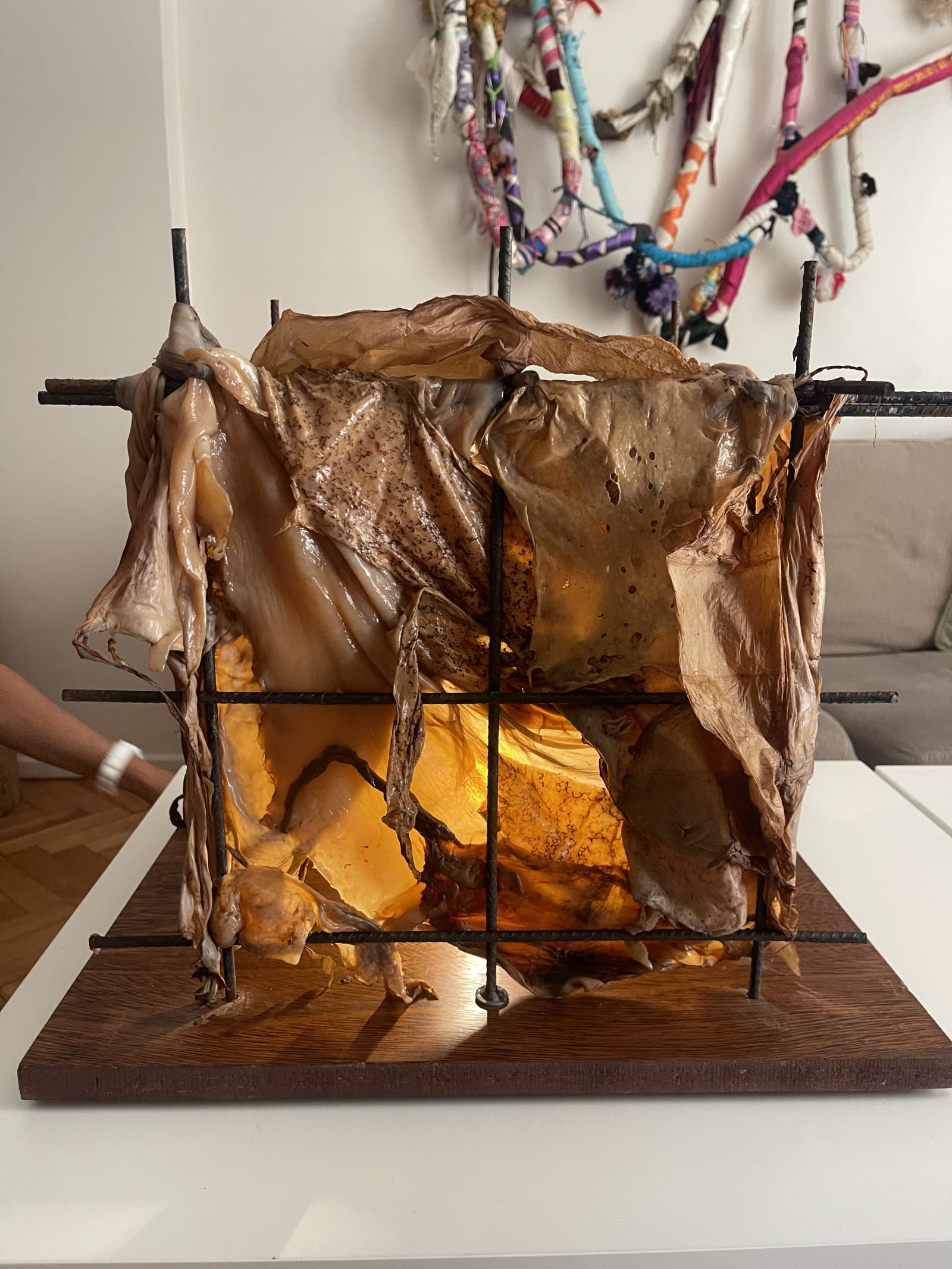 Biocelulosa, escultura viva