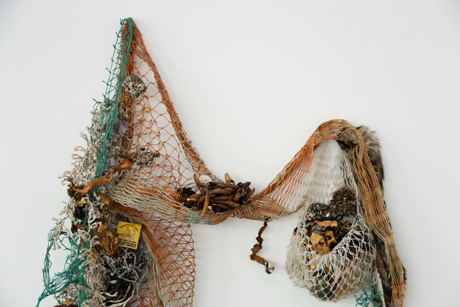Forastera (Muelle Storni, 1992)