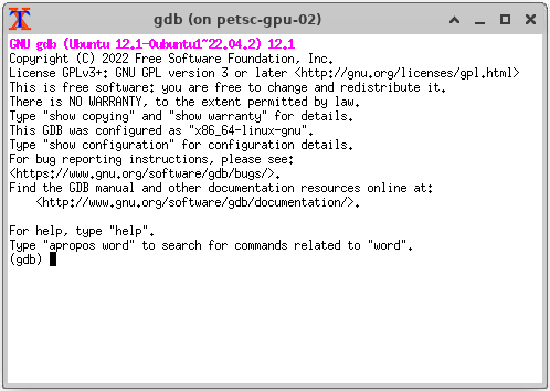 Image of a gdb debugging session in an xterm
