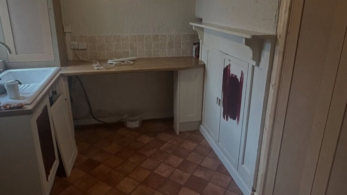 A Welsh painter revives utility room with bold plum color A Welsh painter revives utility room with bold plum color - plum utility room