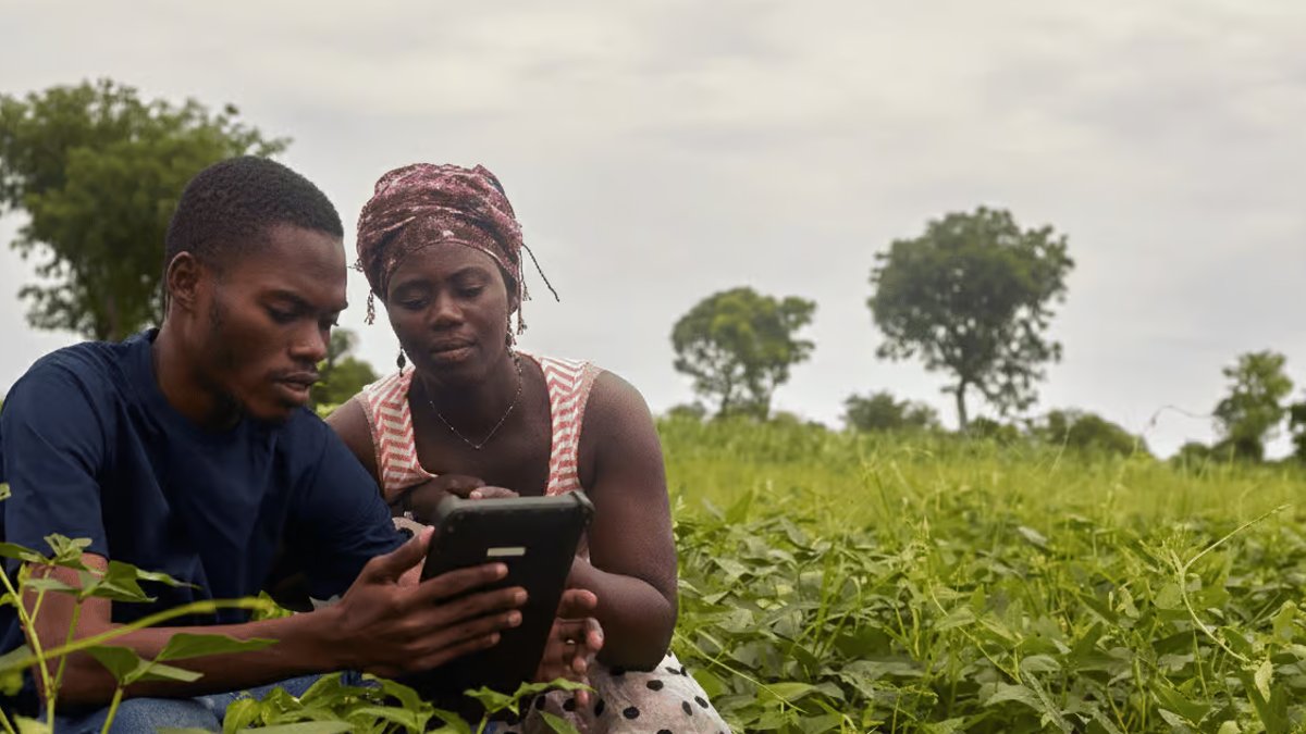 Ghana firm boosts shea farmers with digital supply chain funding - digital supply chain funding