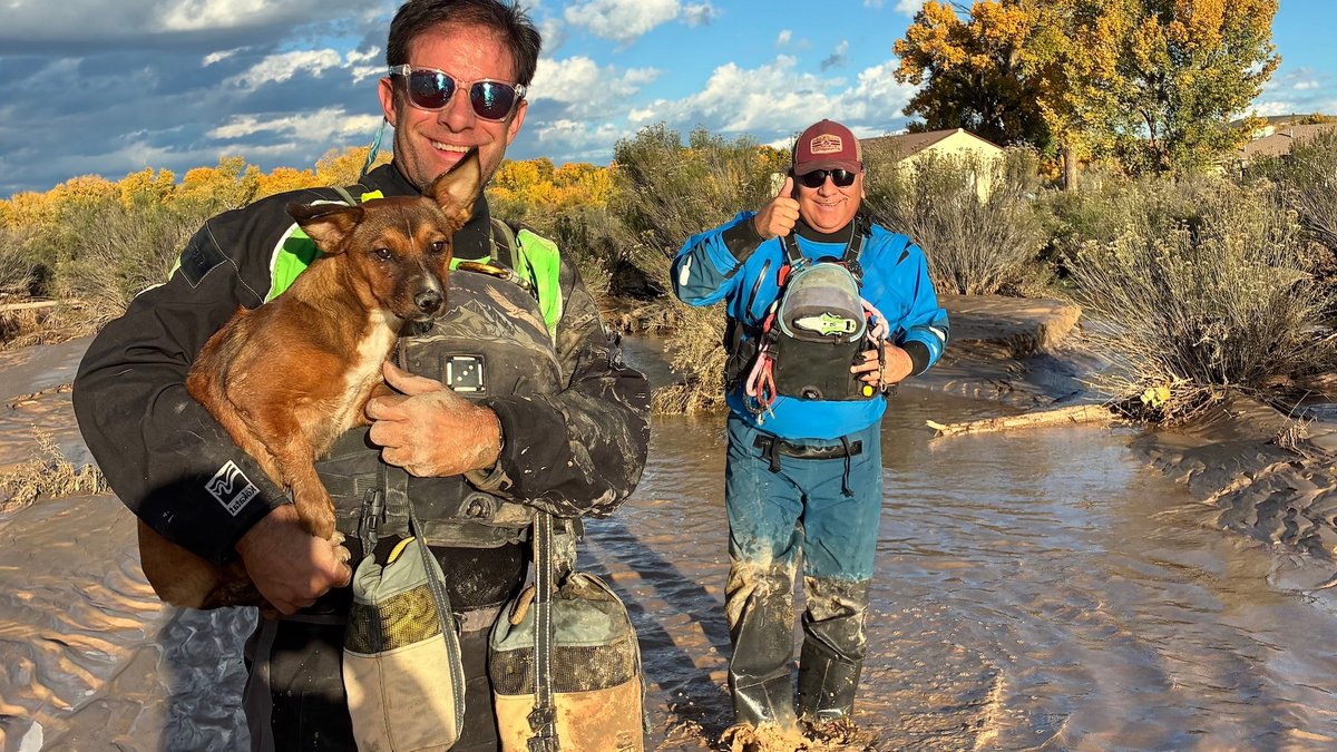 Raft Guides Save Pets in Flooded New Mexico Raft Guides Save Pets in Flooded New Mexico - pet rescue