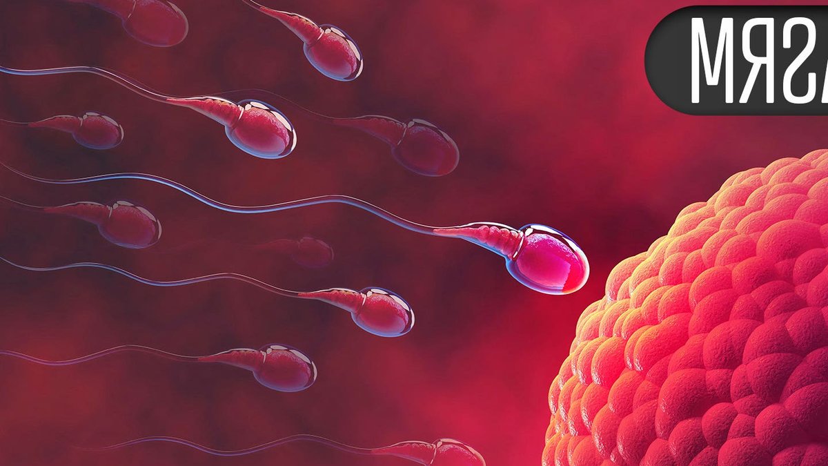 AI tool detects rare sperm in infertile men - rare sperm