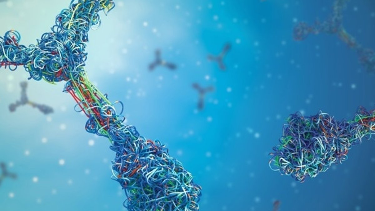 Mutated Neutrophils Drive Lupus Autoimmune Attacks Mutated Neutrophils Drive Lupus Autoimmune Attacks - mutated neutrophils