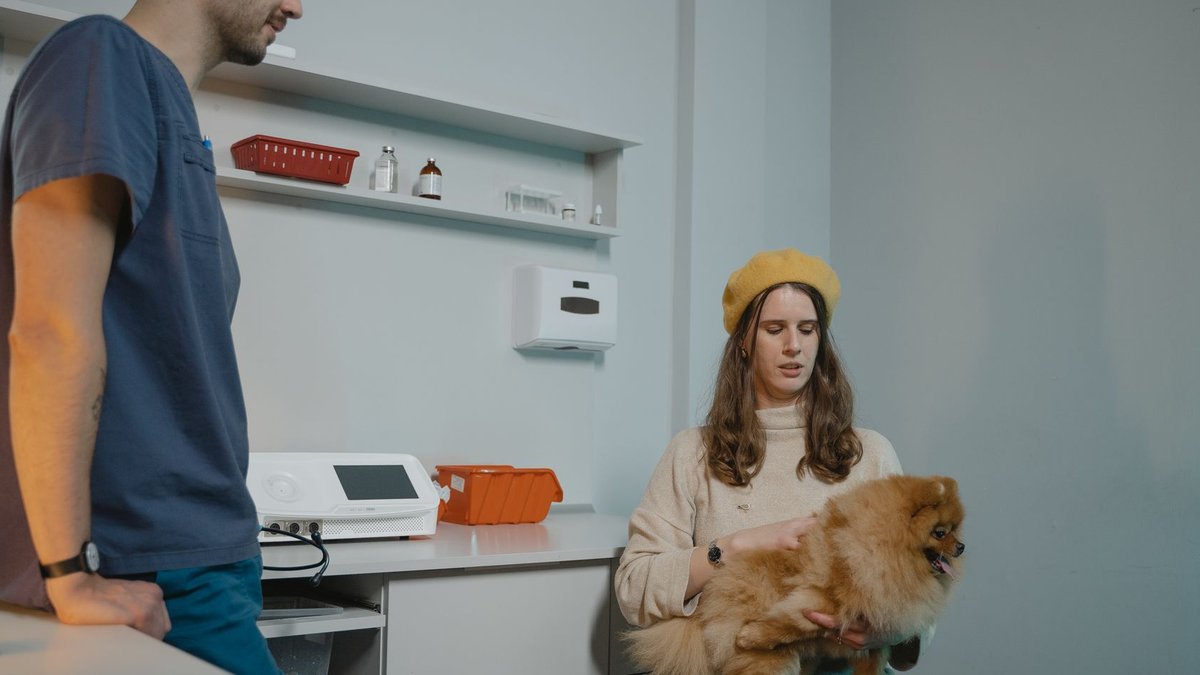 Australia campaign urges safer workplaces for vets Australia campaign urges safer workplaces for vets - veterinary workplace safety