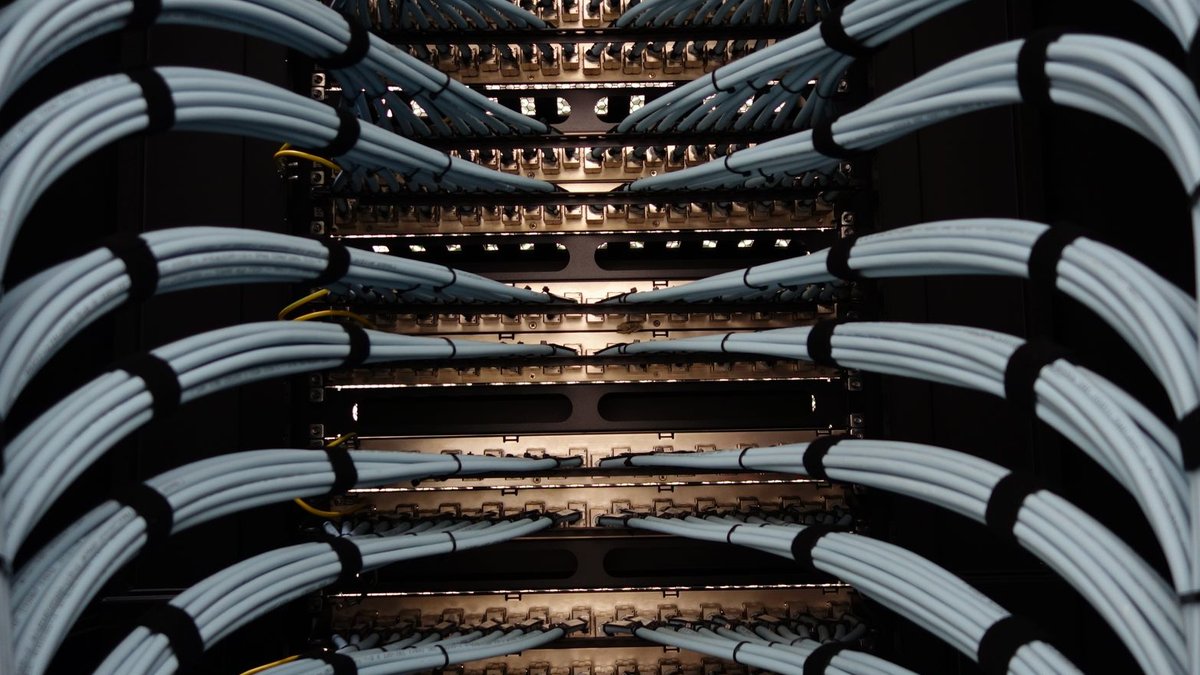 Organized network server cables for efficient data management.