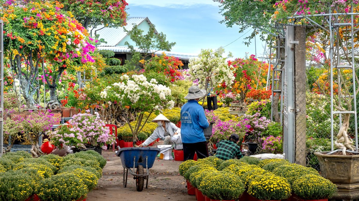 Chelsea Flower Show announces award winners Colorful garden with people tending to flowers and plants, outdoors.