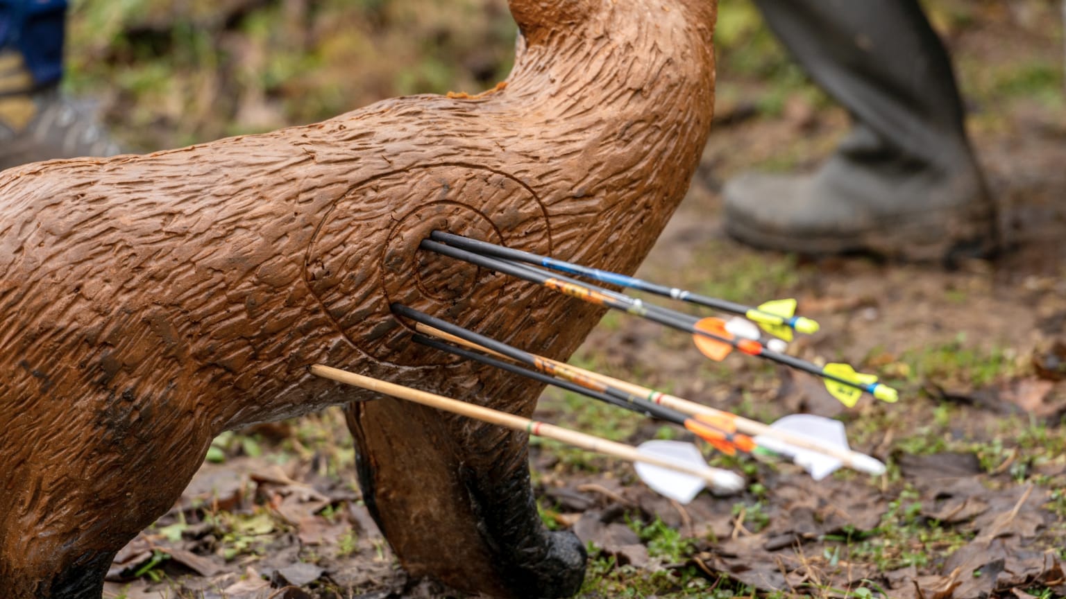 Landesmeisterschaften Feld/Wald & 3D 2026