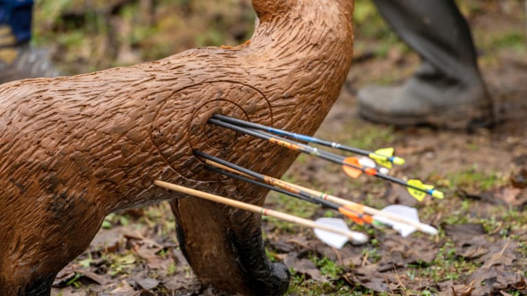 Ergebnisse Landesmeisterschaften Feld/Wald & 3D 2026
