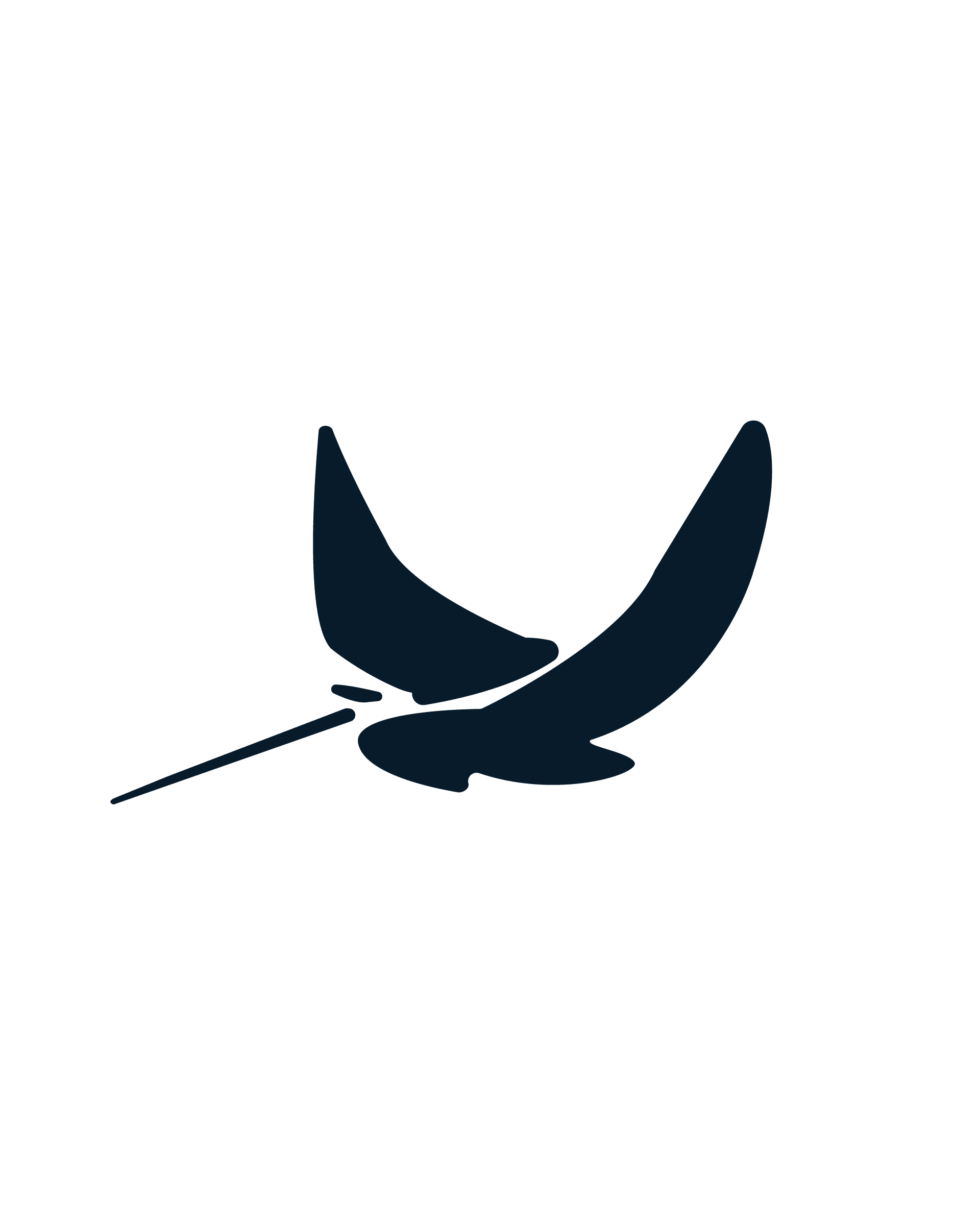 Eagle Ray Comms Team
