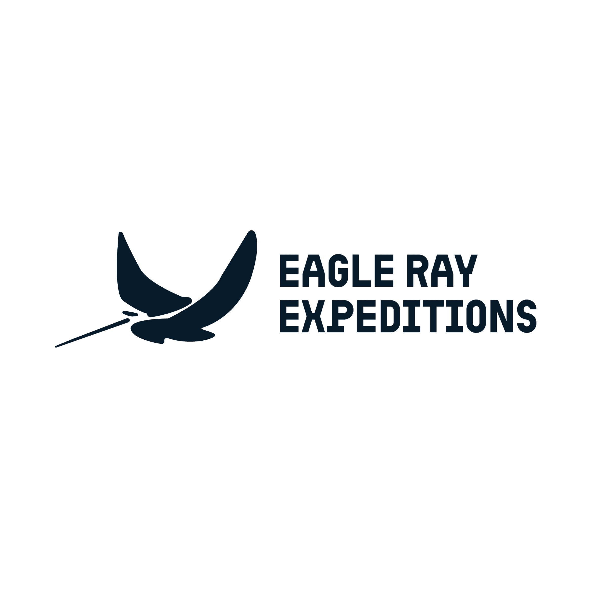Eagle Ray Comms Team