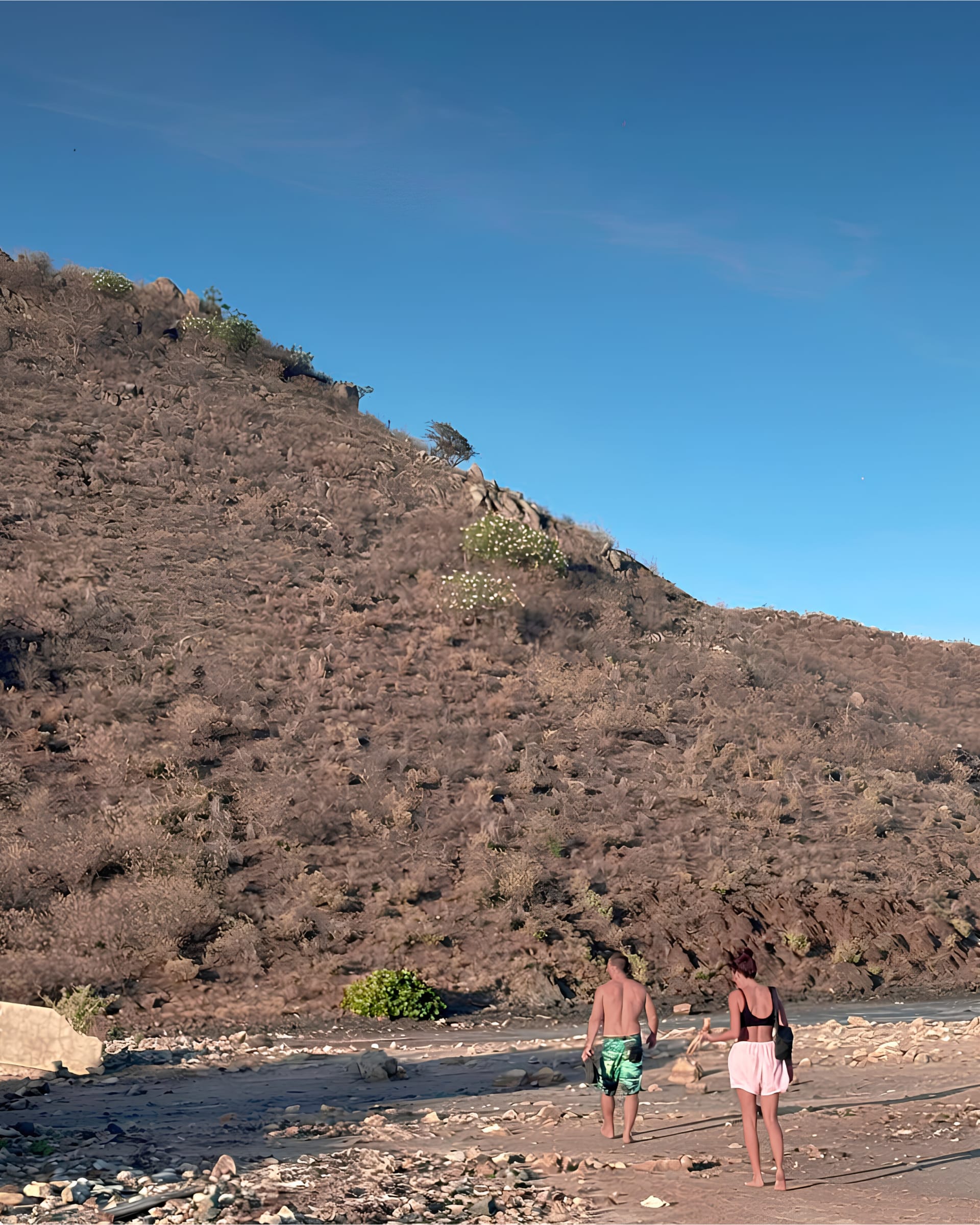 Hikes