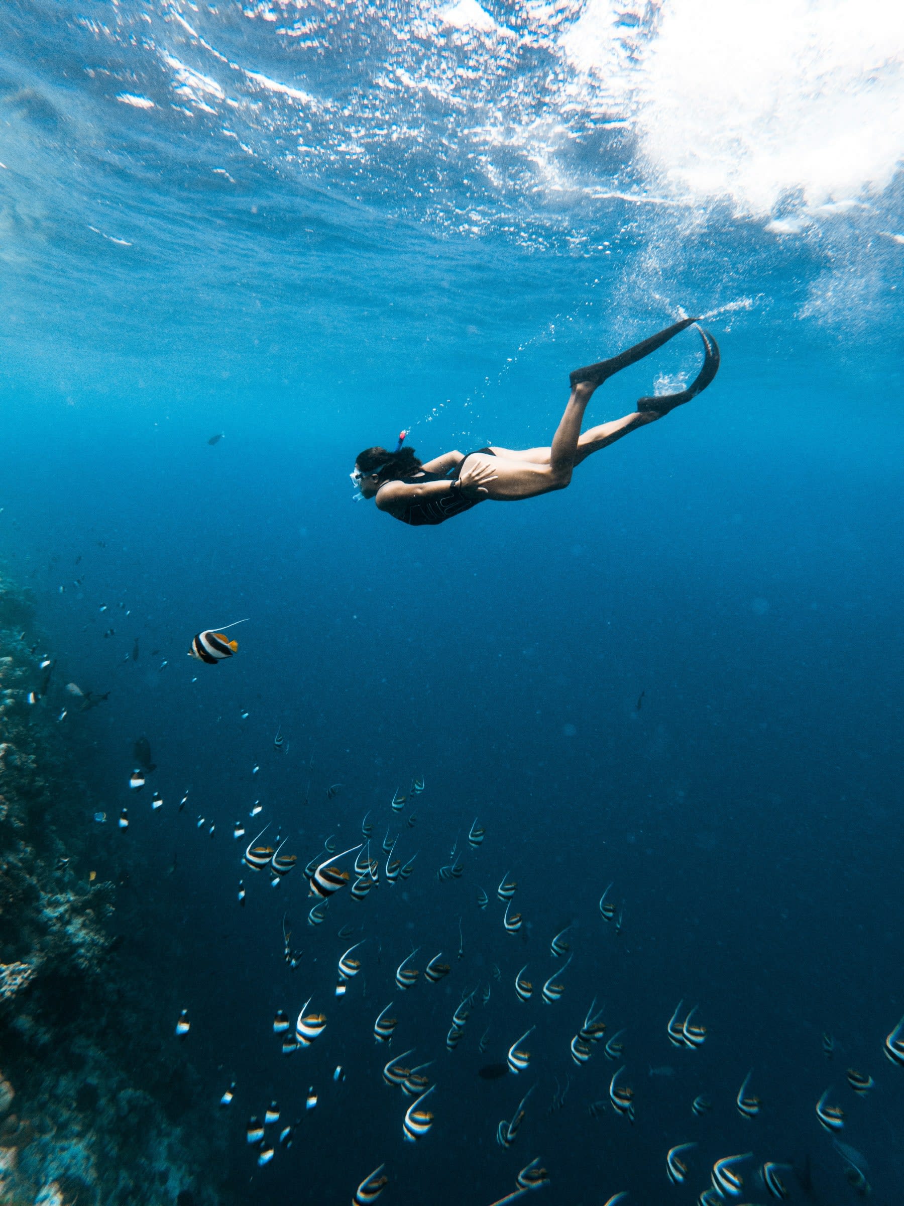 Freediving