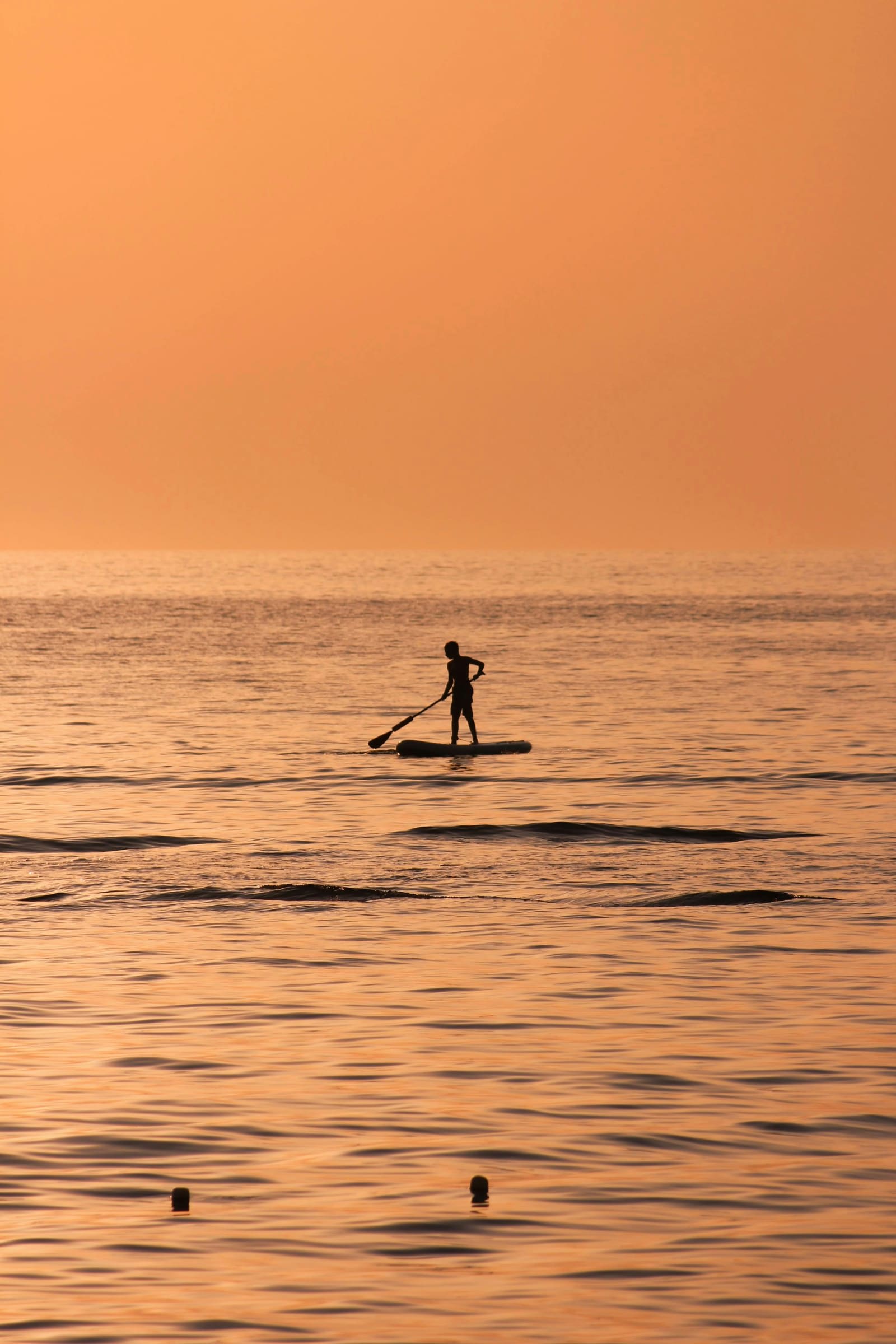 paddlesurf
