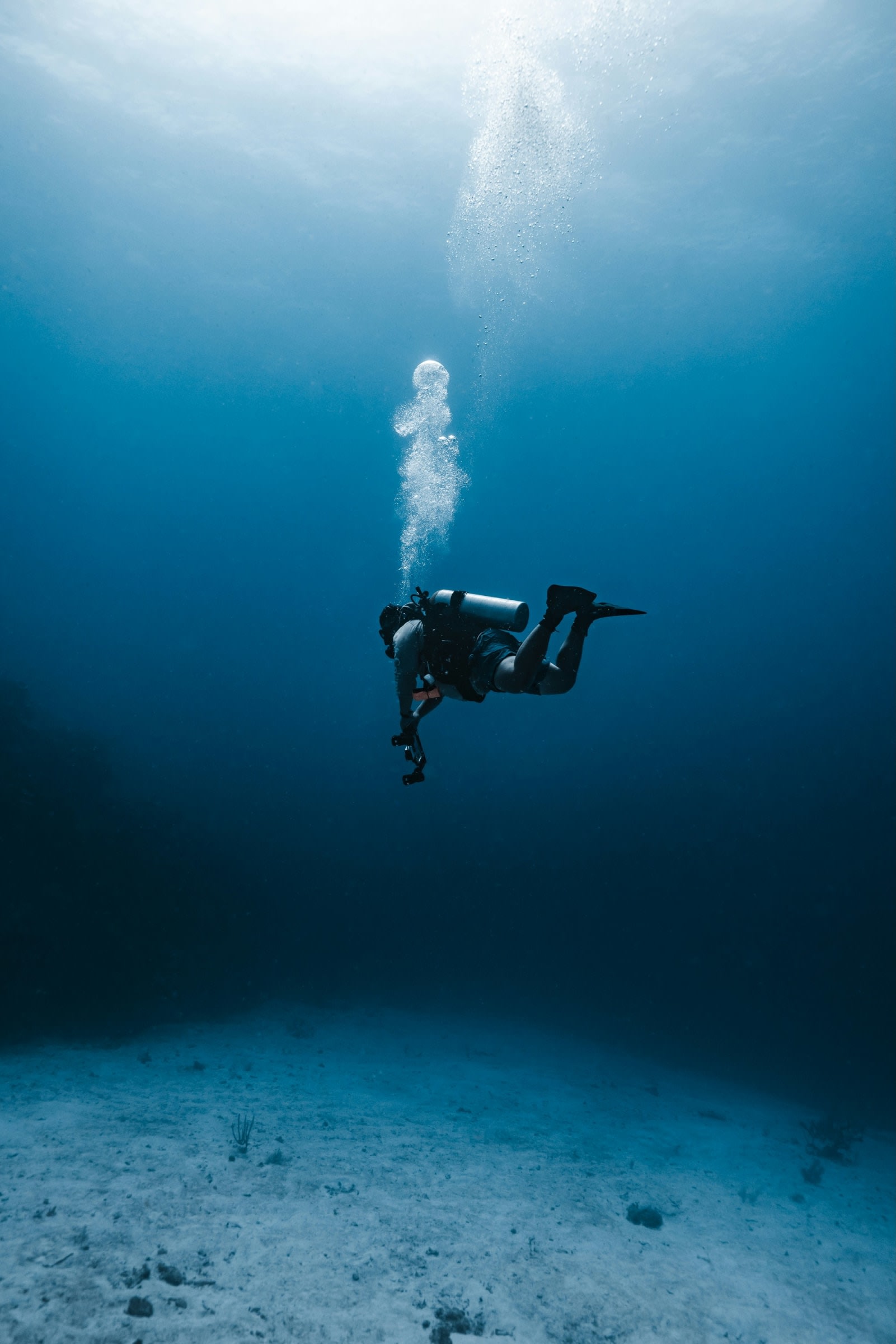 Someone in the water, diving or snorkeling off the boat