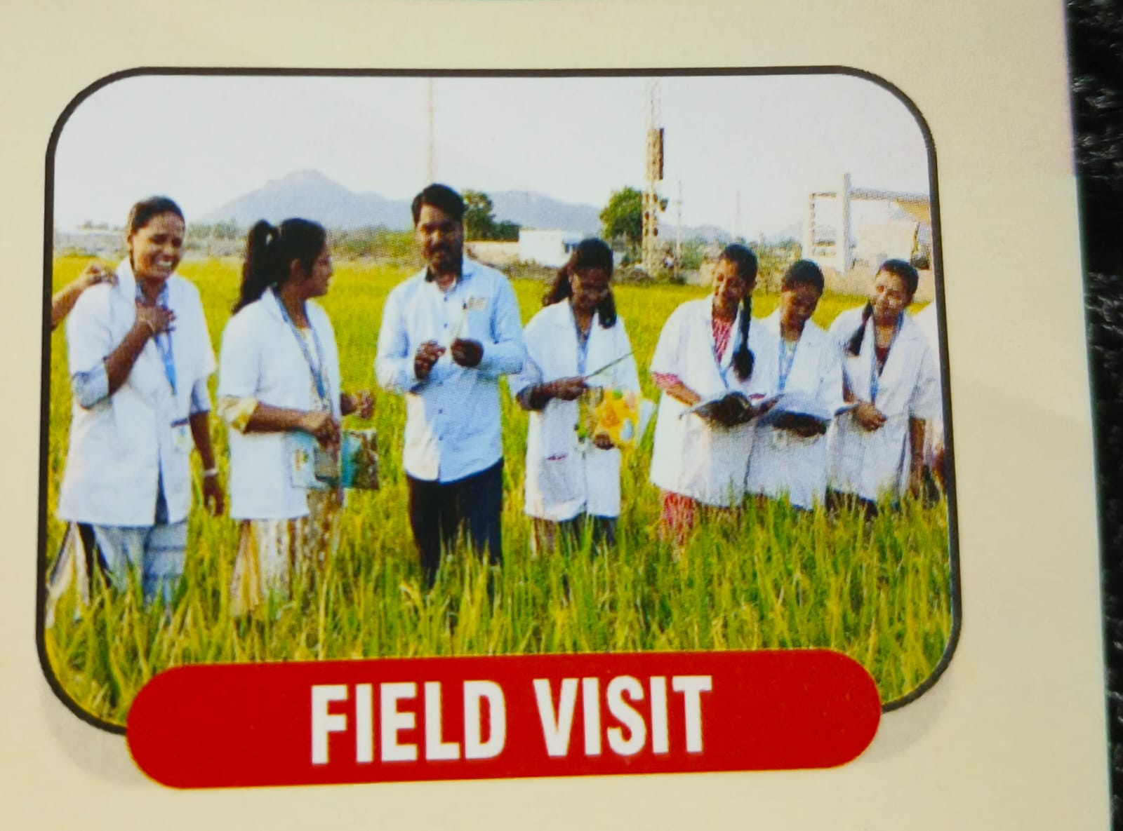 B.Sc Agriculture