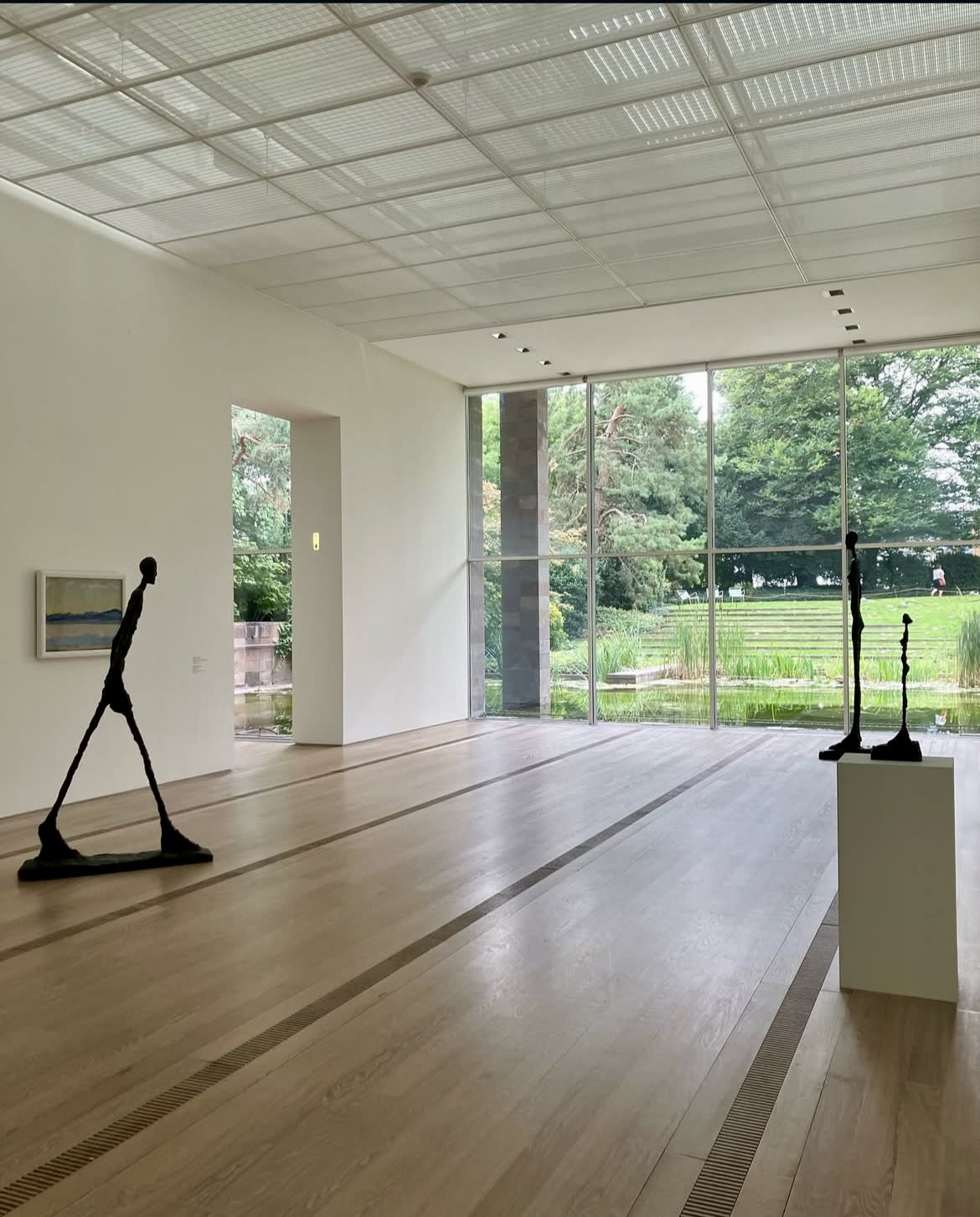 Light, nature, and form