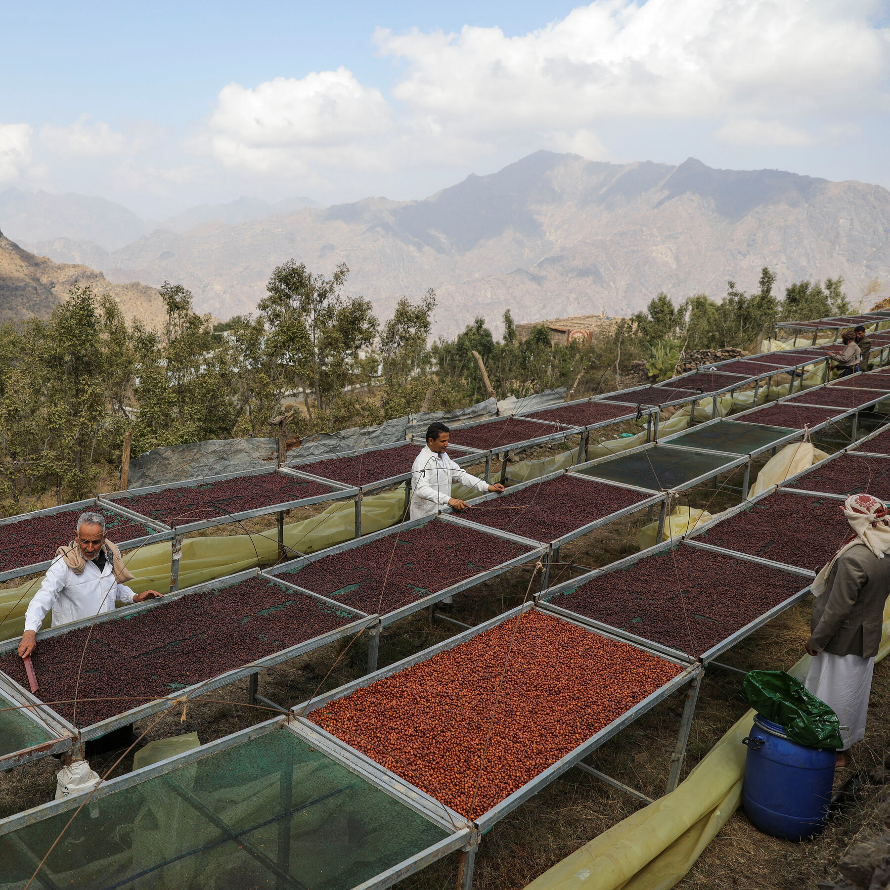 Why Mokha, Historic Port That Shaped the Coffee Trade, Is a Prize in Yemens War