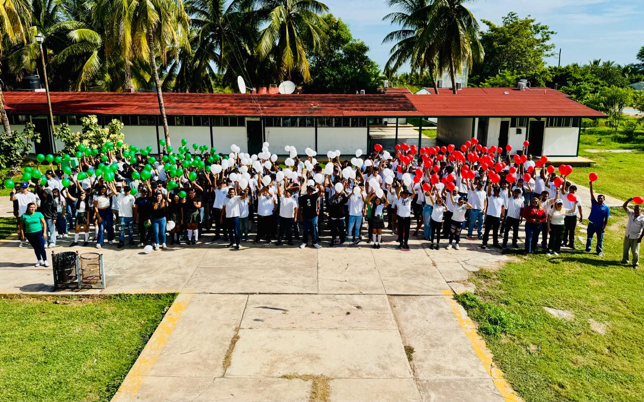 Jornada Nacional de Mosaicos por la Patria