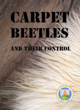 Carpet Beetles And Their Control