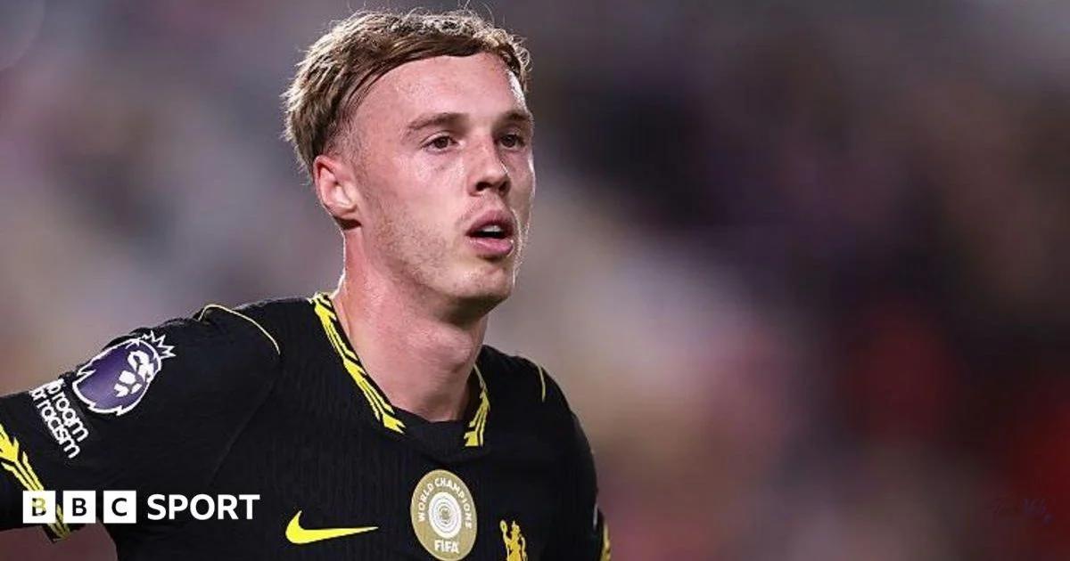 England's Palmer a 'victim' of 'sick' schedule, says PFA chi