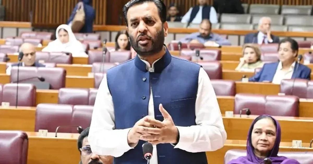 Mustafa Kamal Proposes Private CEOs for Public Hospitals
