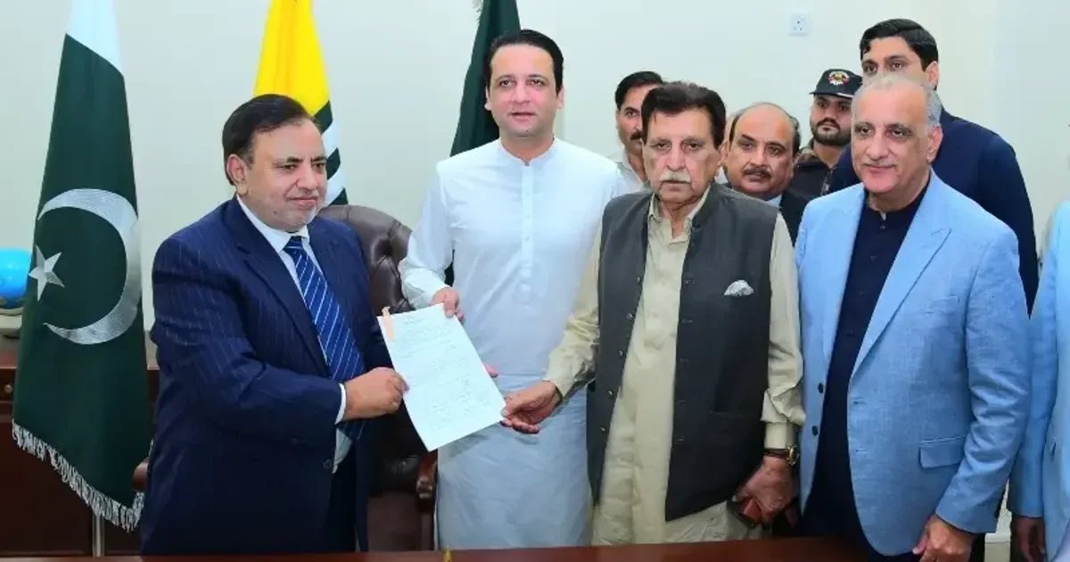 Candidates from PML-N, PPP file papers for presidential elec