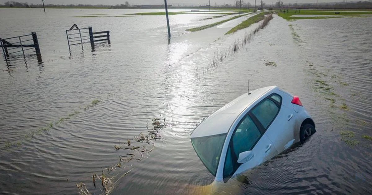 UK Hosepipe Bans Persist Despite Recent Heavy Rain