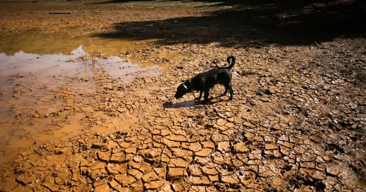 El Nino could cause 451,000 extra heat deaths, estimates say